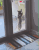 Let me in.gif