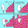 Bird by bird.png