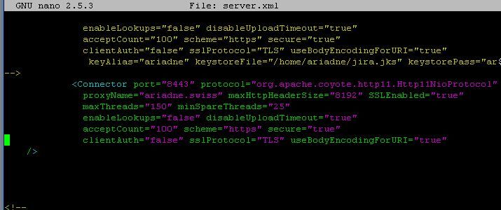 Tomcat Connector.JPG
