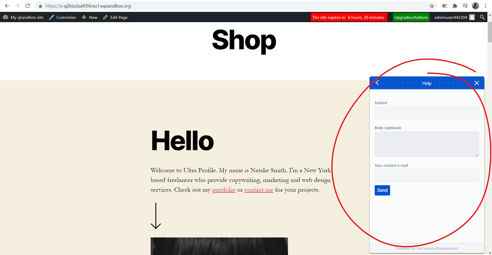 wordpress.png