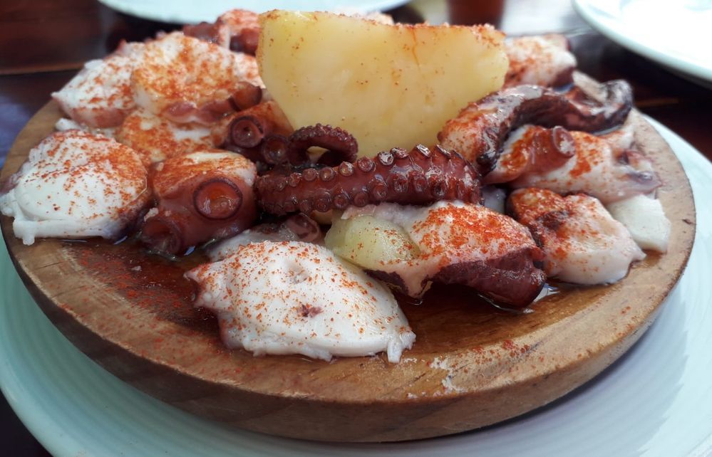 pulpo.jpeg