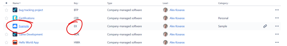 project rest api.png