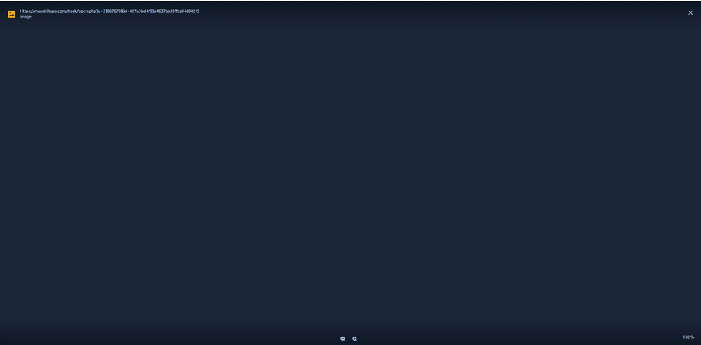 Screenshot 2021-10-22 155413 Blank-Black image page.png