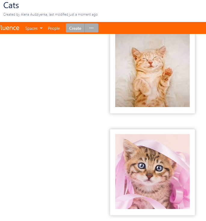 Screenshot 2021-10-24 at 20-21-32 Cats - Internship Server Month 2 - Confluence.png