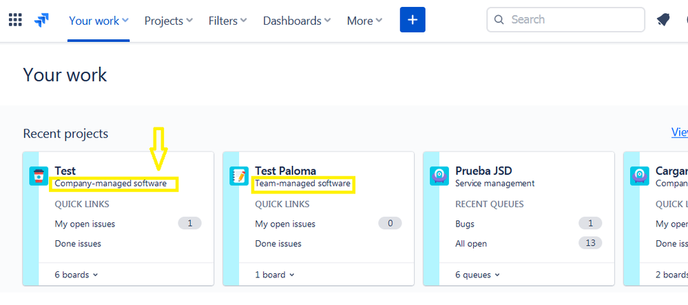 Team or Company managed projects.png