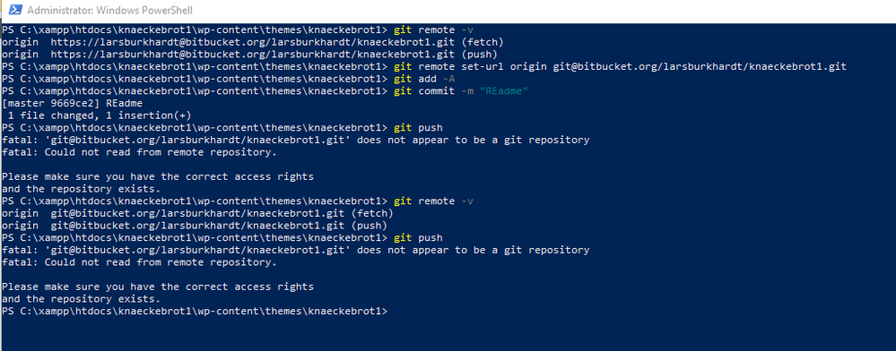 screen_bitbucket-console.png
