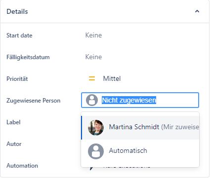 assign issue.png