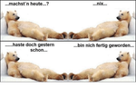 grafik.png