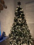 tree.jpg