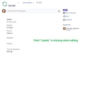 Issue edit.png