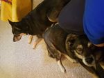 20200320_105030.jpg
