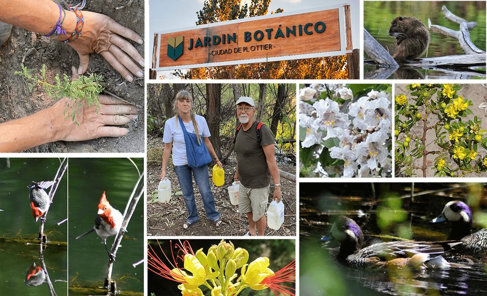 jardnbotanico-collage2.png