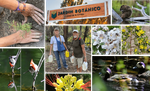 jardnbotanico-collage2.png