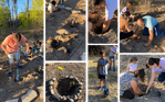 digging.png