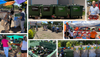 farmersmarket.png