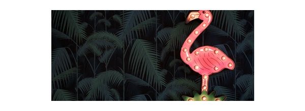 flamingo.jpg