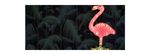flamingo.jpg