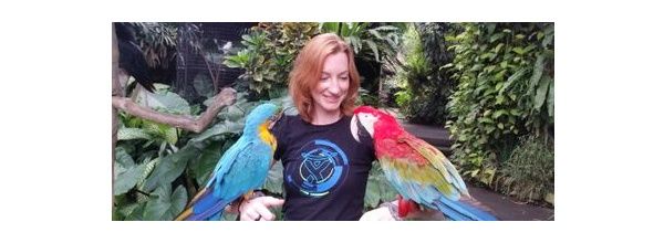 parrot.jpg