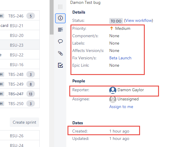 Issue Detail View - Backlog.png