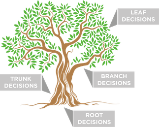 the-decision-tree-process.png