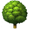 deciduous-tree.png