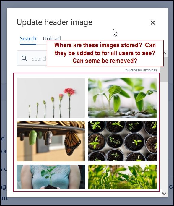 add-header-image-gallery.jpg