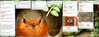 Screen Shot 2018-04-08 at 5.00.43 PM.png