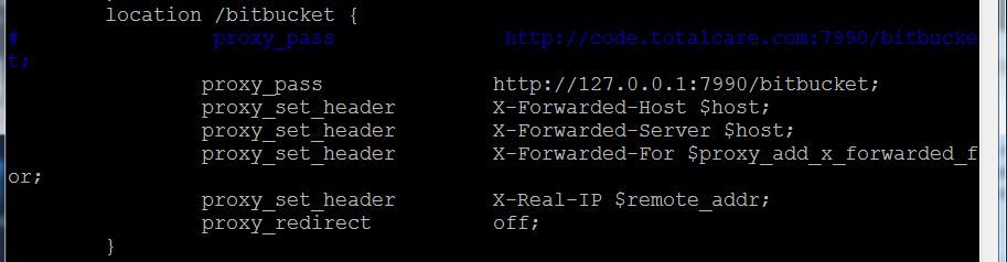 Nginx cfg.JPG