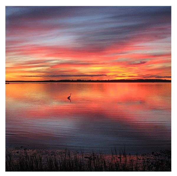 sunset.jpg