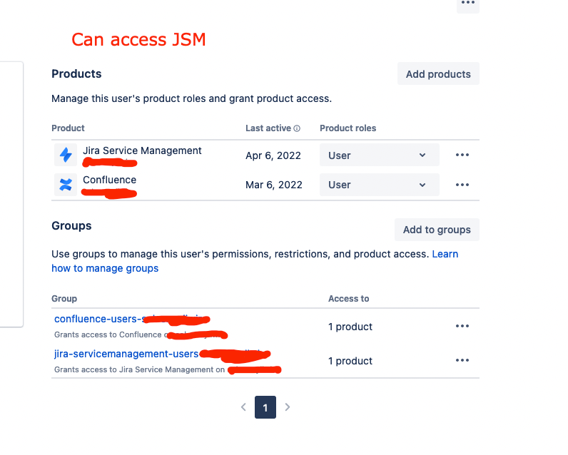 Can access JSM.png