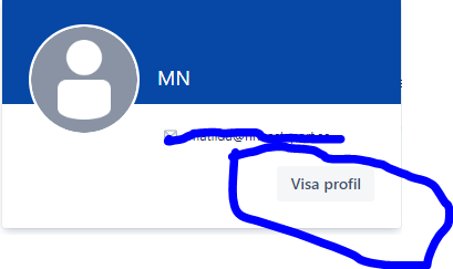 Skärmklipp 3.PNG