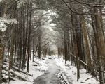 IMG_1588-495x400.jpeg