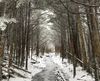 IMG_1588-495x400.jpeg