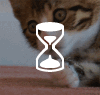giphy
