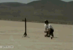 1511ba2438f8171ef3a2d368ebcc30bd.gif