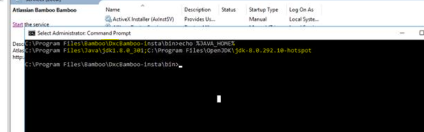 Two diff Java versions.PNG