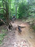 MountainBikewithDelilahDog.JPG