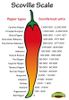 Scoville-Pepper-Heat-Scale-Vec-1.jpg