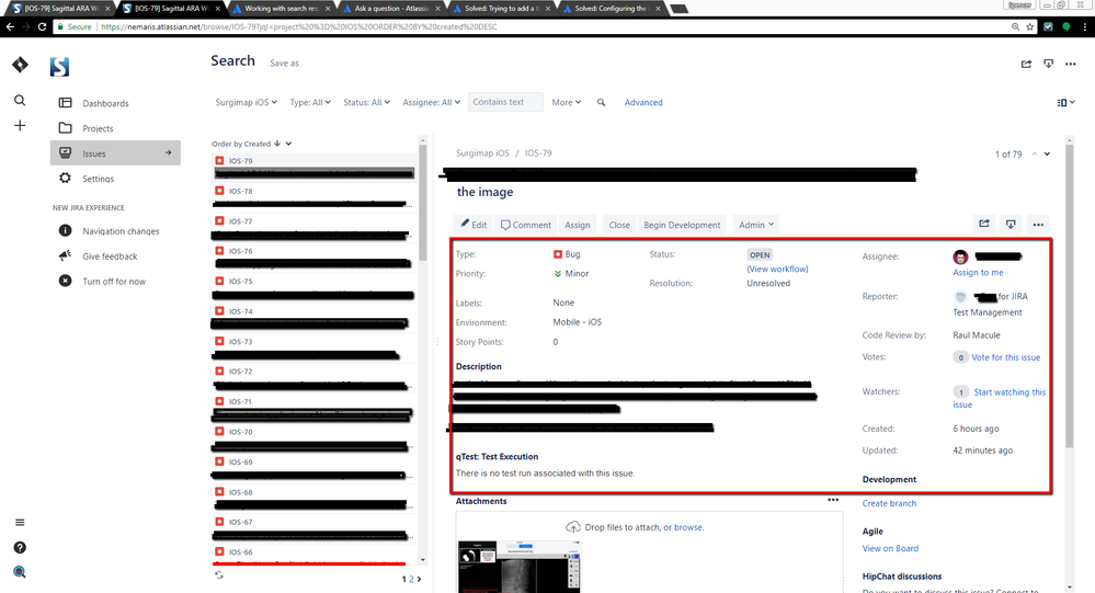 jira_issue_view.png