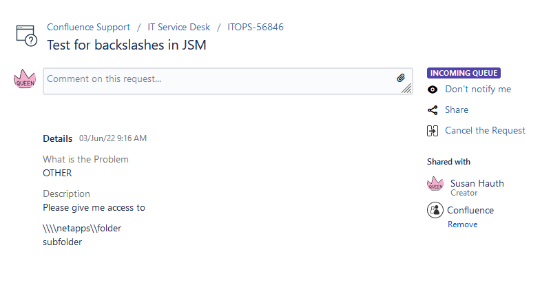 BackSlash problem - Displayed  in JSM.png