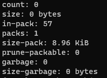 output_command.PNG