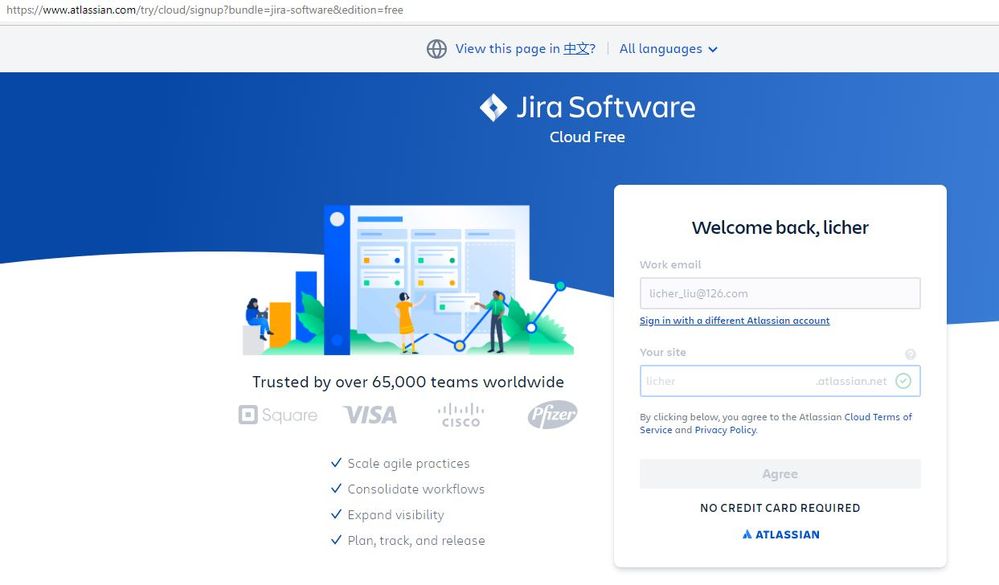 jira issue.jpg