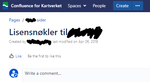 Public (Snorre Selmer)