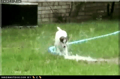 A9E95580-896B-4B00-9325-351094F17E4D.gif
