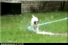 6E262817-FD41-48AC-8433-F5B285ECF066.gif