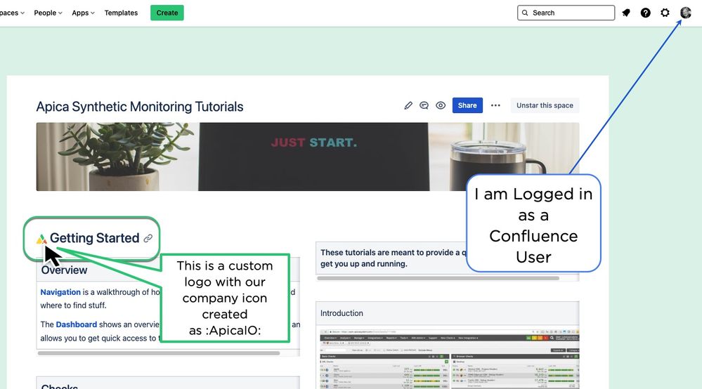 ApicaIO Icon PRESENT.jpg