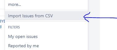 JIRA CAP.JPG