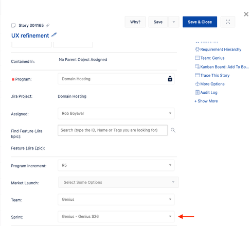 Sprint Field on Story Detail Panel.png