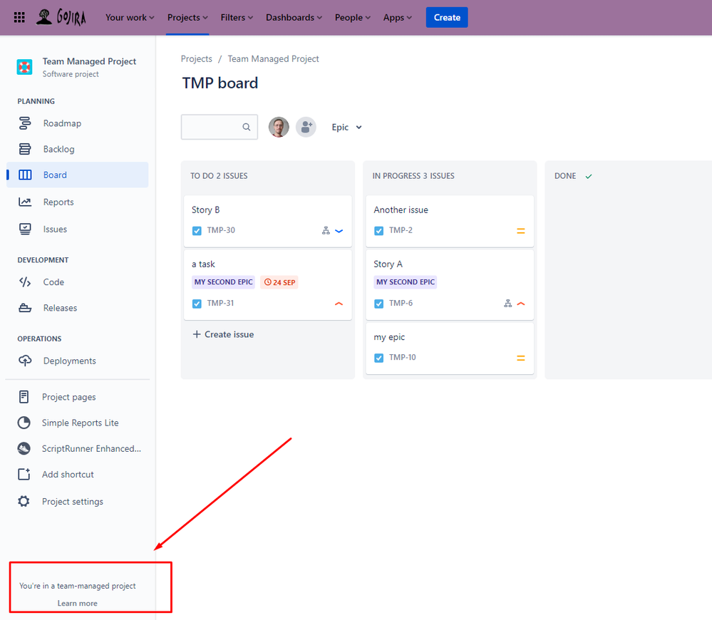 team managed project.png