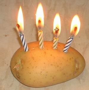 i4.photobucket.com_albums_y107_cheerbabe61384_potato_1